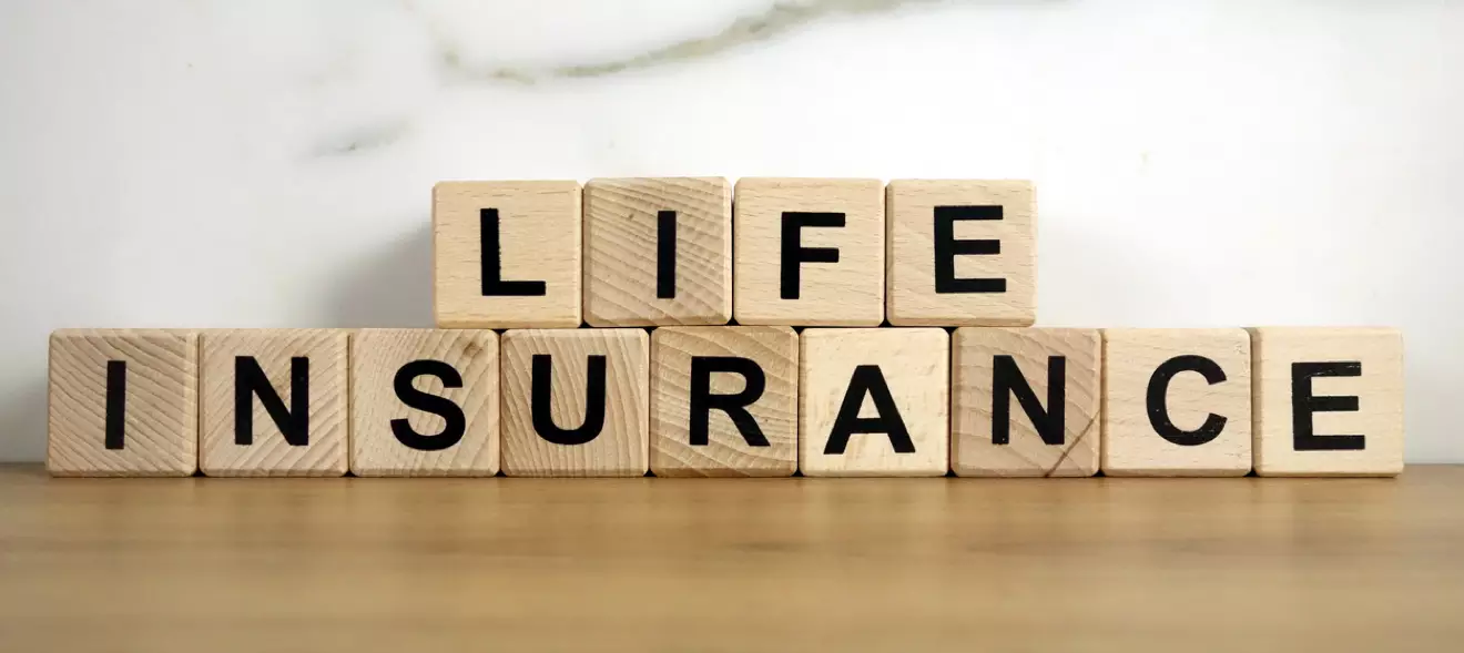 Life insurance building blocks